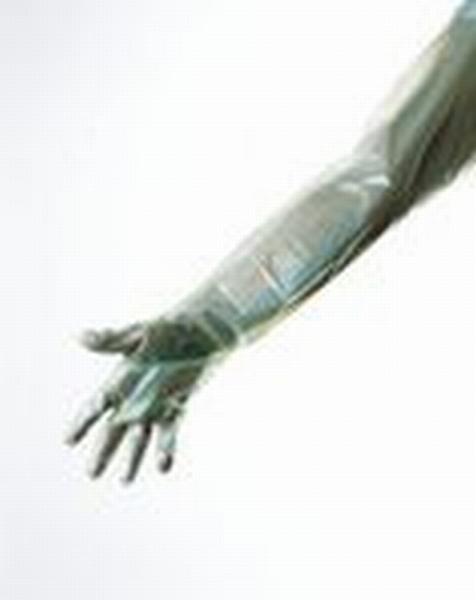 Handschuh Clinhand Grün 90 cm